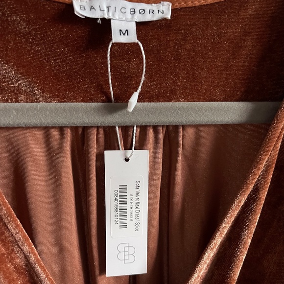 NWT  Sofia Velvet Maxi Dress - Spice - Size M - Picture 3 of 4